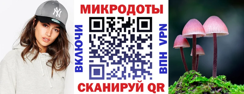 мега зеркало  где продают наркотики  Елабуга  Псилоцибиновые грибы Cubensis 