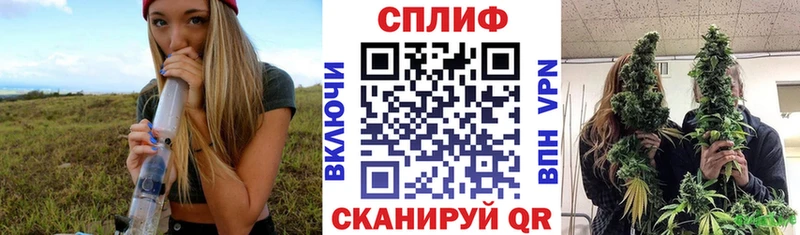 блэк спрут онион  закладка  Елабуга  МАРИХУАНА VHQ 